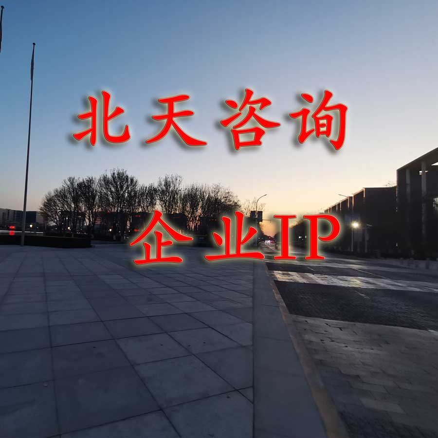  企业IP